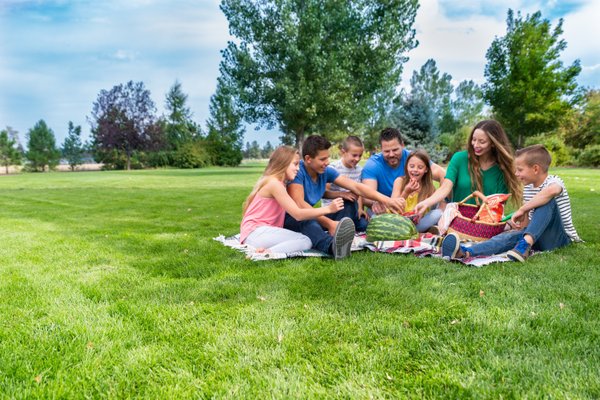 Familie am Picknick auf Rasenfläche